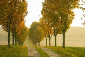 Hotel Pension Dünenschloß